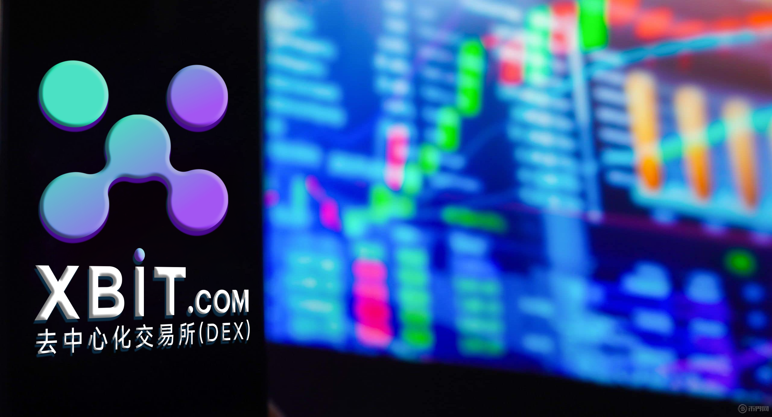 机构入场信号？灰度新增BNB信托备案，长期持有者占比创新高